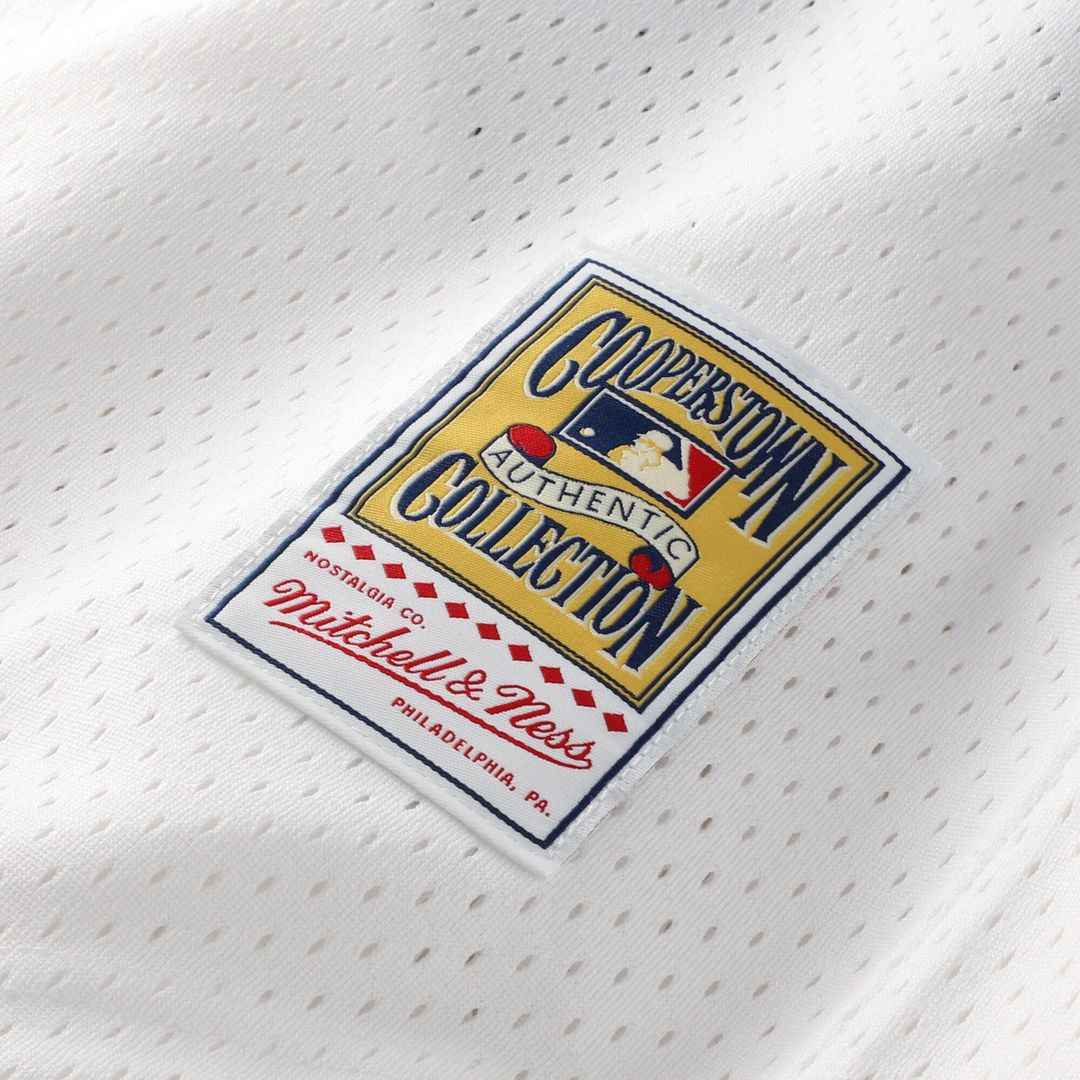 Carlton Fisk Chicago White Sox Mitchell & Ness Authentic Batting Practice Jersey - White