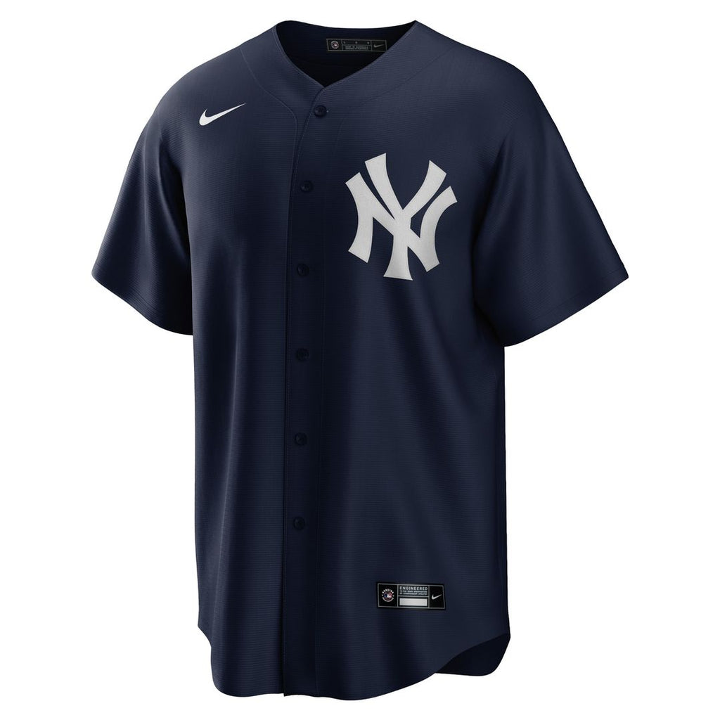 Aaron Judge New York Yankees Nike 2020 Spring Training Replica Player Jersey - Navy